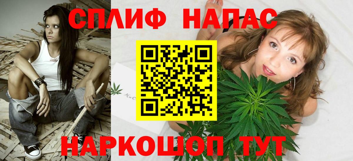 Каннабис сатива Ржев